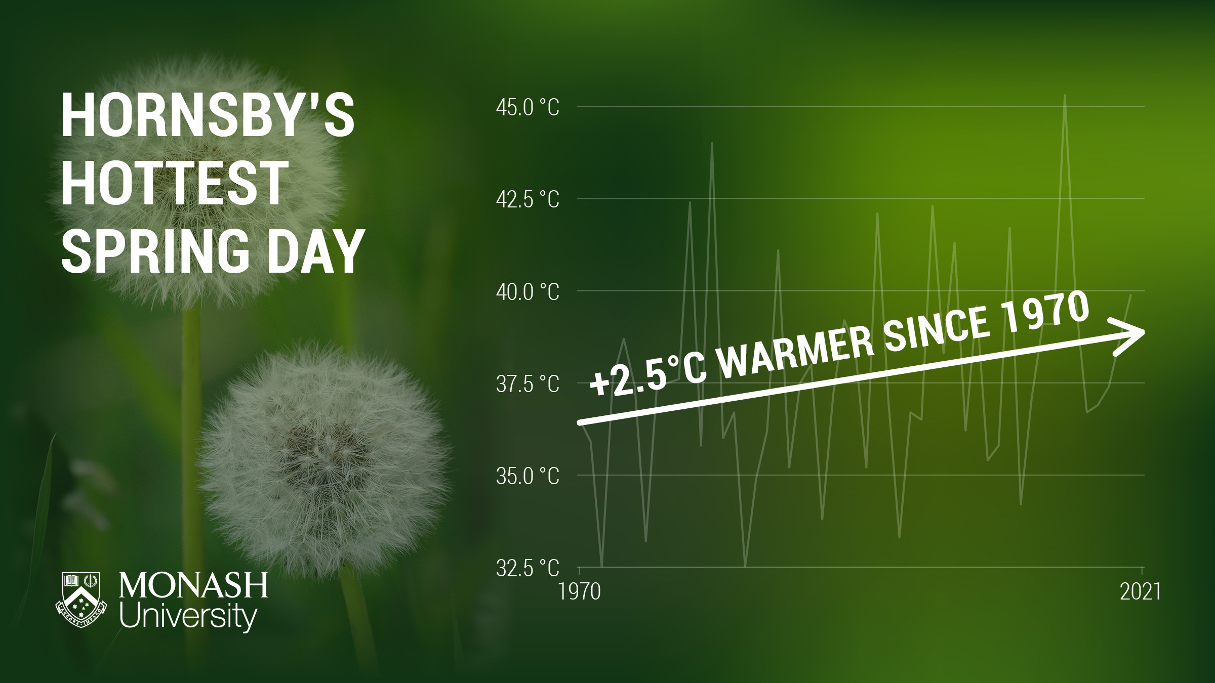 Hay fever havoc Rising temperatures may be taking the spring out of