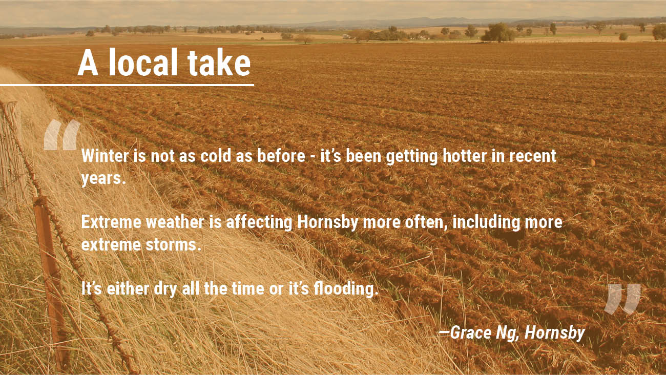 Wetterthannormal weather expected for Hornsby, as Bureau of